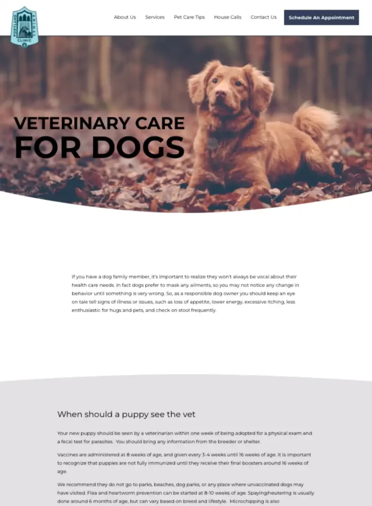 Service illustration